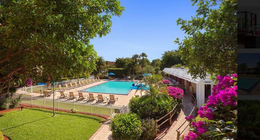 Collins Hotel North Naples
